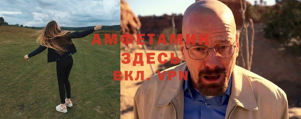 сатива Баксан