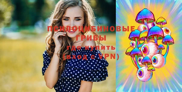 сатива Баксан
