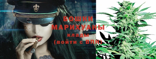 сатива Баксан