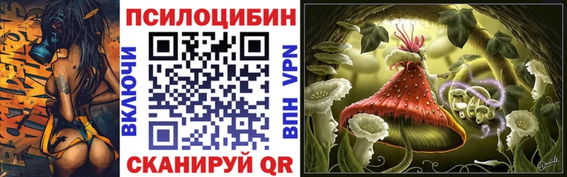 это телеграм  Губаха  Галлюциногенные грибы GOLDEN TEACHER 
