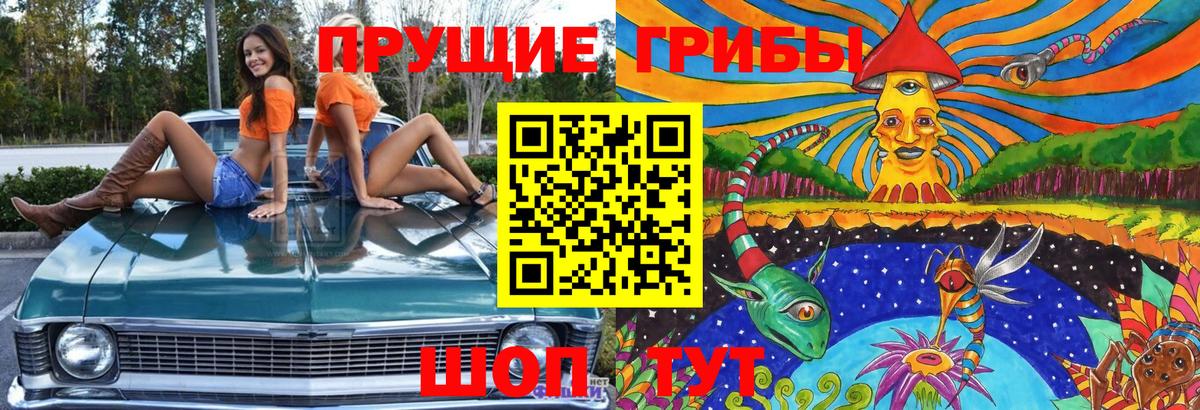 Галлюциногенные грибы мицелий  Вход с VPN  Губаха 