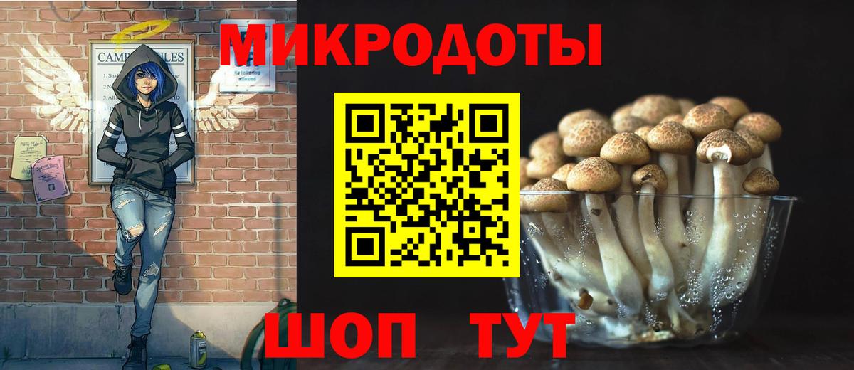 Галлюциногенные грибы ЛСД Губаха